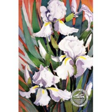 WATERMARK GREETING CARD WHITE IRIS